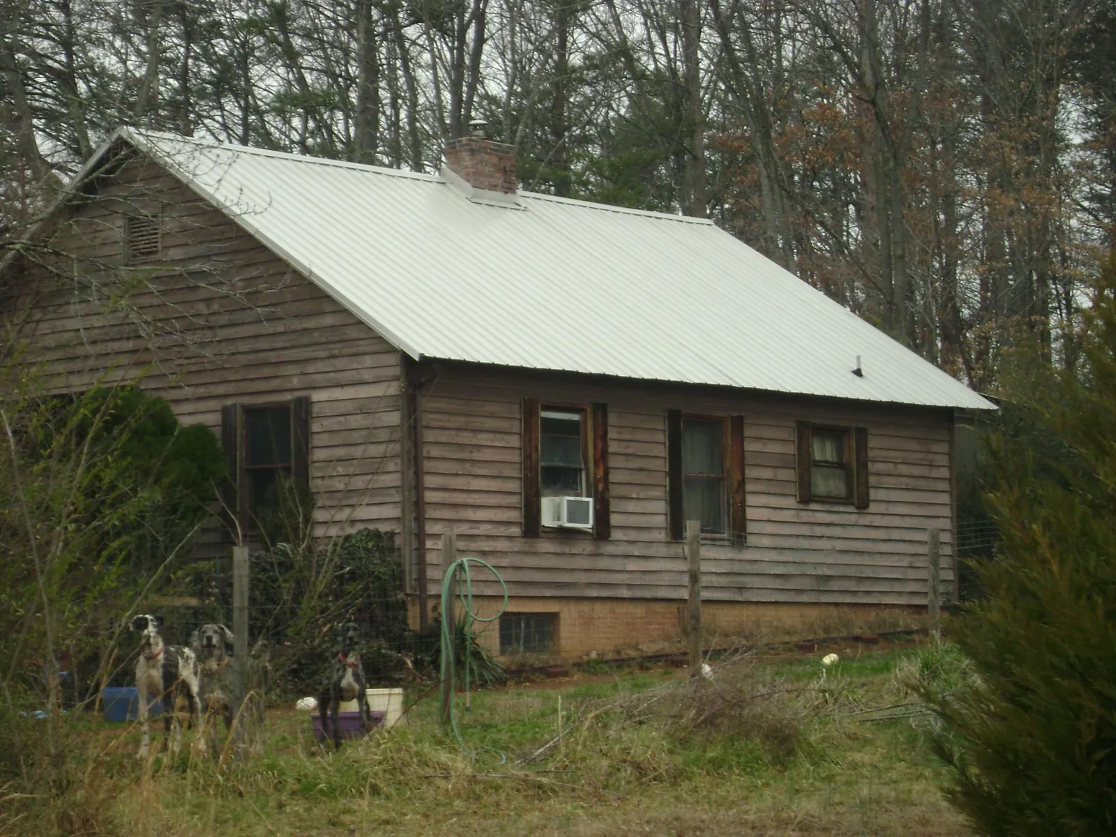White metal roof on an old wood sided farmhouse, from a Asphalt Shingle Roof Repair job in Maxbass